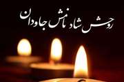 پیام تسلیت دکتربیگلر در پی درگذشت همسر گرامی دکتر سید حمید خویی
